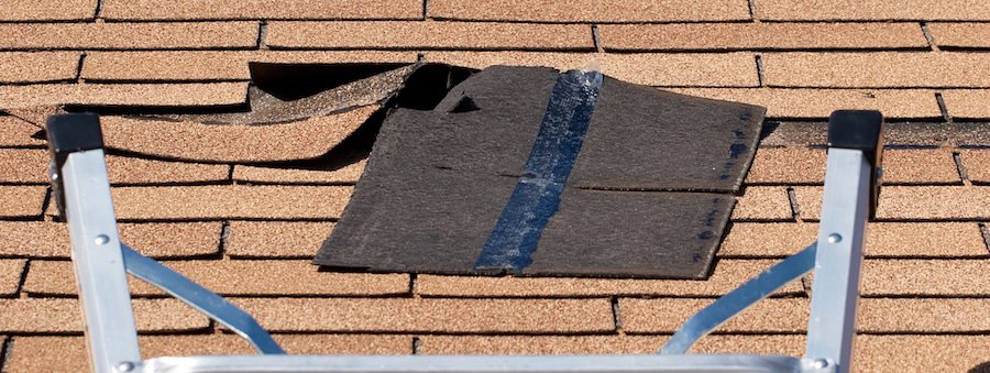 A ladder set up to repair damaged roof shingles. A section was blown off after a storm with high winds causing a potential leak.