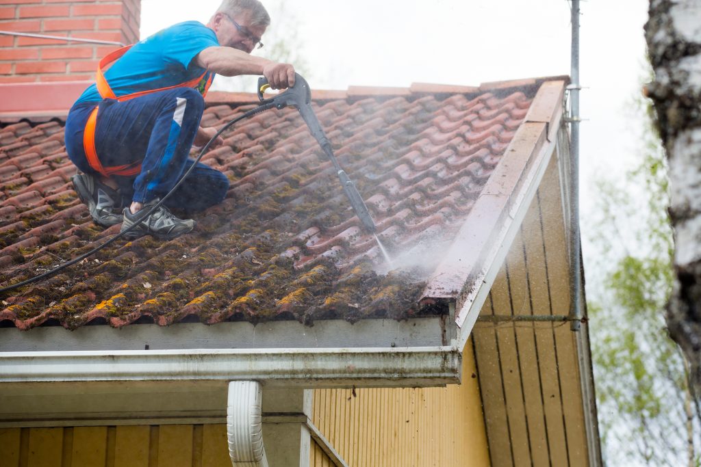 DIY Roof Cleaning